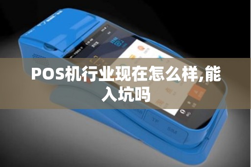 POS机行业现在怎么样,能入坑吗