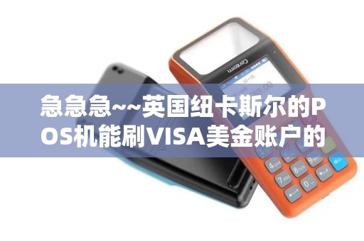 急急急~~英国纽卡斯尔的POS机能刷VISA美金账户的钱么？