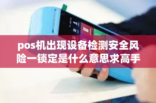 pos机出现设备检测安全风险一锁定是什么意思求高手指教谢谢？