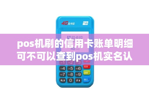 pos机刷的信用卡账单明细可不可以查到pos机实名认证