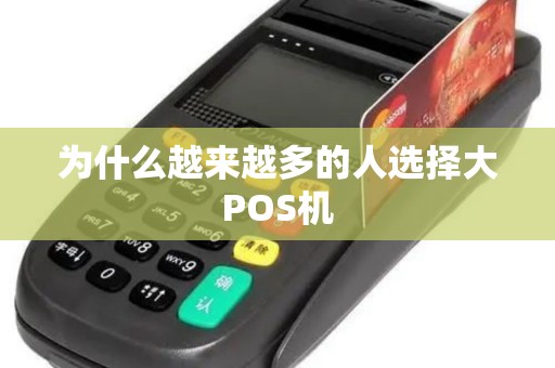 为什么越来越多的人选择大POS机