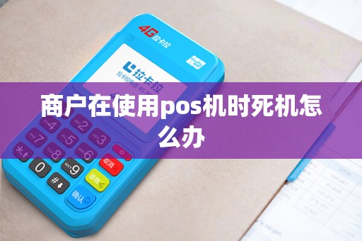 商户在使用pos机时死机怎么办