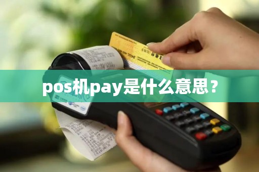 pos机pay是什么意思？