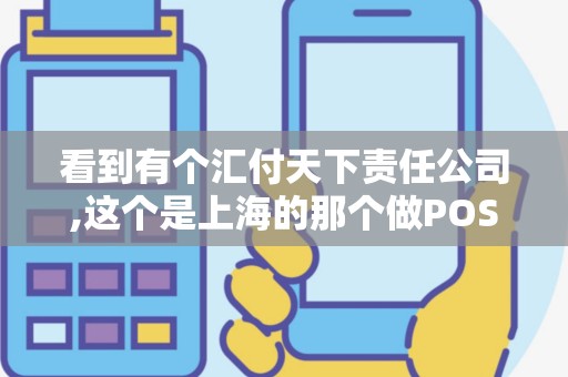 看到有个汇付天下责任公司,这个是上海的那个做POS机的...