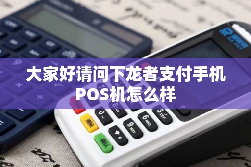 大家好请问下龙者支付手机POS机怎么样