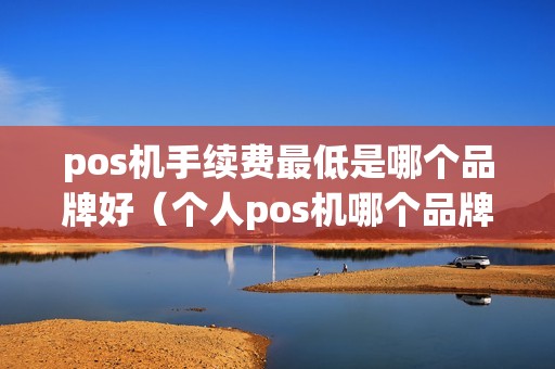 pos机手续费最低是哪个品牌好（个人pos机哪个品牌好）
