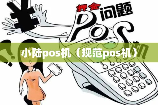 小陆pos机（规范pos机）