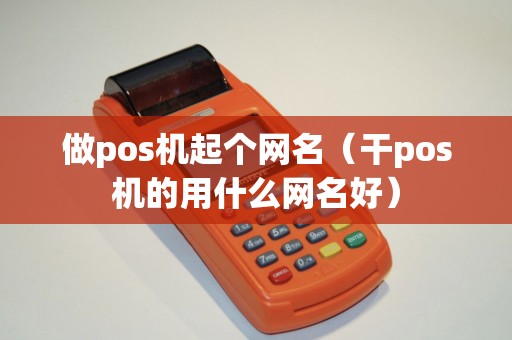做pos机起个网名（干pos机的用什么网名好）
