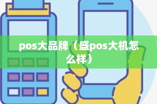 pos大品牌（盛pos大机怎么样）