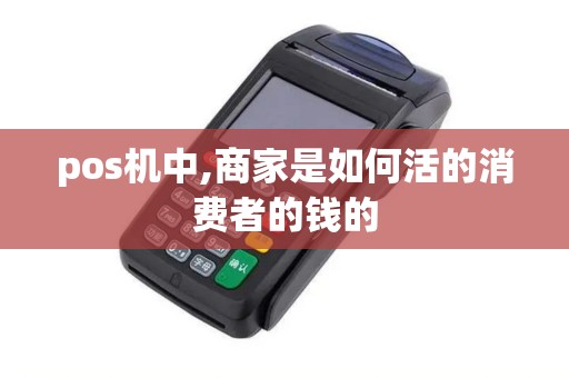 pos机中,商家是如何活的消费者的钱的