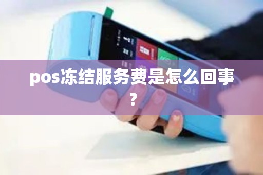 pos冻结服务费是怎么回事？
