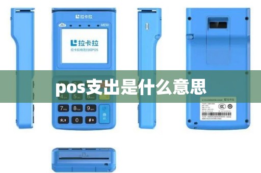 pos支出是什么意思