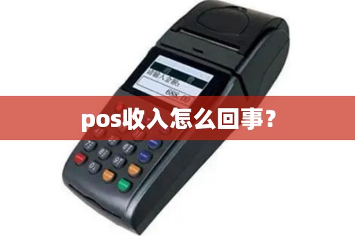 pos收入怎么回事？