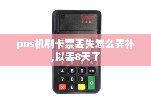 pos机刷卡票丢失怎么弄补,以丢8天了