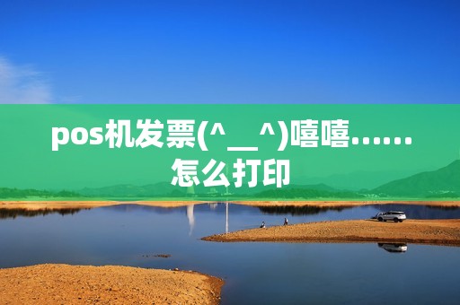 pos机发票(^__^)嘻嘻……怎么打印