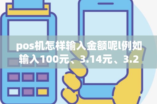 pos机怎样输入金额呢l例如输入100元、3.14元、3.2元、20000元怎么输入数字，谢谢