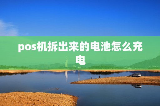 pos机拆出来的电池怎么充电