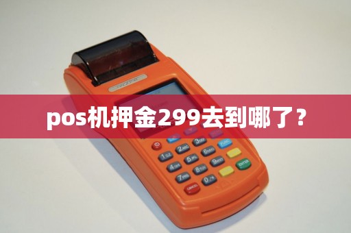 pos机押金299去到哪了？