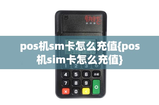 pos机sm卡怎么充值{pos机sim卡怎么充值}