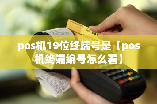 pos机19位终端号是【pos机终端编号怎么看】