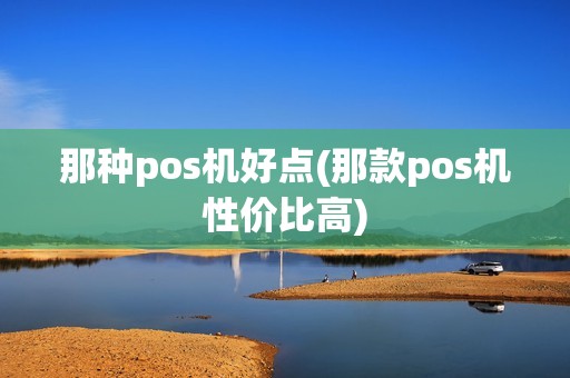那种pos机好点(那款pos机性价比高)