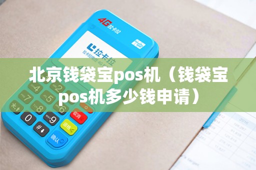 北京钱袋宝pos机（钱袋宝pos机多少钱申请）