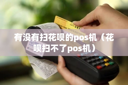 有没有扫花呗的pos机（花呗扫不了pos机）