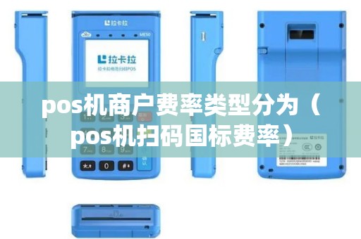 pos机商户费率类型分为（pos机扫码国标费率）