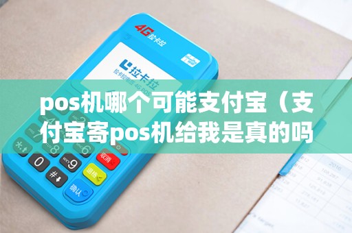 pos机哪个可能支付宝（支付宝寄pos机给我是真的吗）