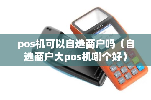 pos机可以自选商户吗（自选商户大pos机哪个好）