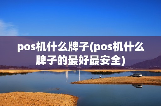 pos机什么牌子(pos机什么牌子的最好最安全)