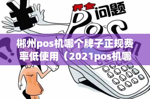 郴州pos机哪个牌子正规费率低使用（2021pos机哪个牌子最正规）