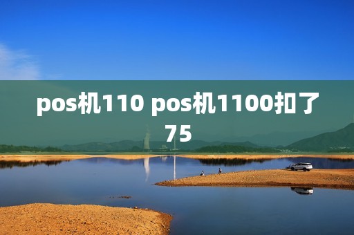 pos机110 pos机1100扣了75