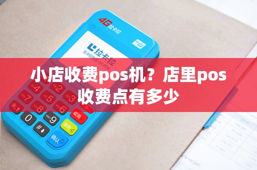 小店收费pos机？店里pos收费点有多少
