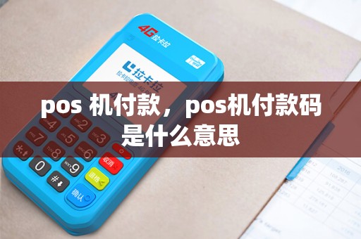pos 机付款，pos机付款码是什么意思
