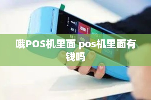 哦POS机里面 pos机里面有钱吗