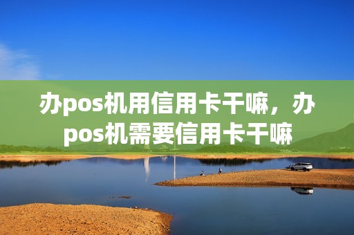 办pos机用信用卡干嘛，办pos机需要信用卡干嘛