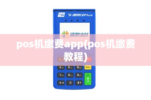pos机缴费app(pos机缴费教程)