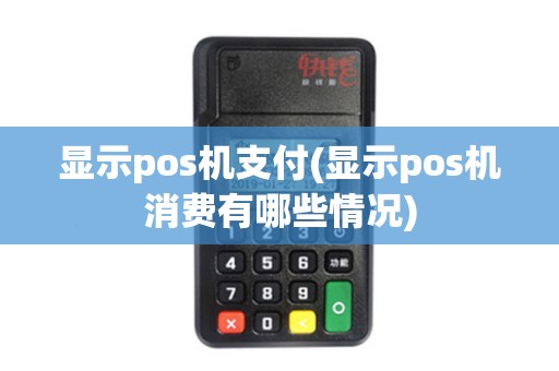 显示pos机支付(显示pos机消费有哪些情况)