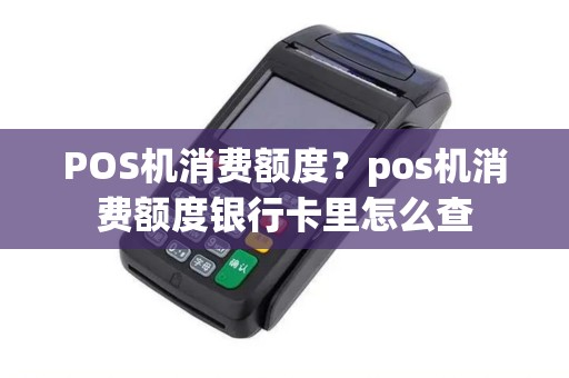 POS机消费额度？pos机消费额度银行卡里怎么查