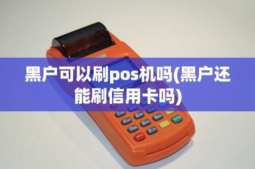 黑户可以刷pos机吗(黑户还能刷信用卡吗)