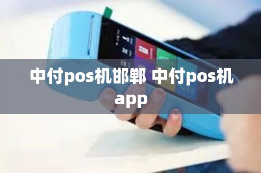 中付pos机邯郸 中付pos机app