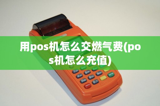 用pos机怎么交燃气费(pos机怎么充值)