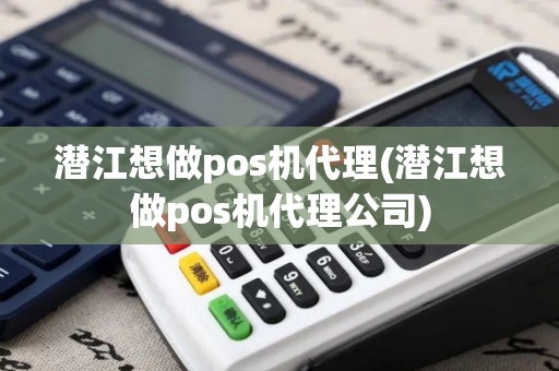 潜江想做pos机代理(潜江想做pos机代理公司)