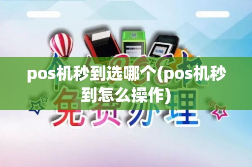 pos机秒到选哪个(pos机秒到怎么操作)