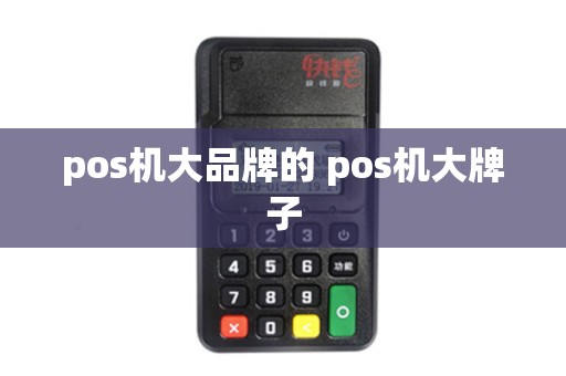 pos机大品牌的 pos机大牌子