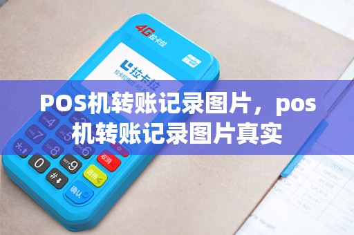 POS机转账记录图片，pos机转账记录图片真实