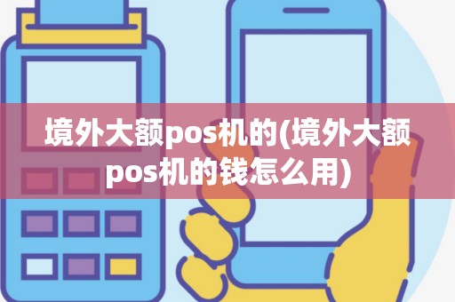 境外大额pos机的(境外大额pos机的钱怎么用)