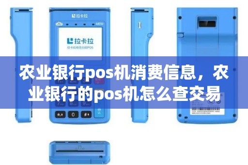 农业银行pos机消费信息，农业银行的pos机怎么查交易明细