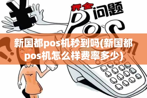 新国都pos机秒到吗(新国都pos机怎么样费率多少)